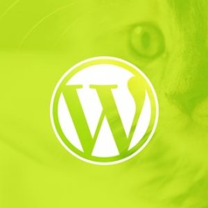 WordPress for Beginners: Create a Website Step by Step